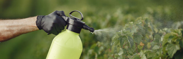 roundup